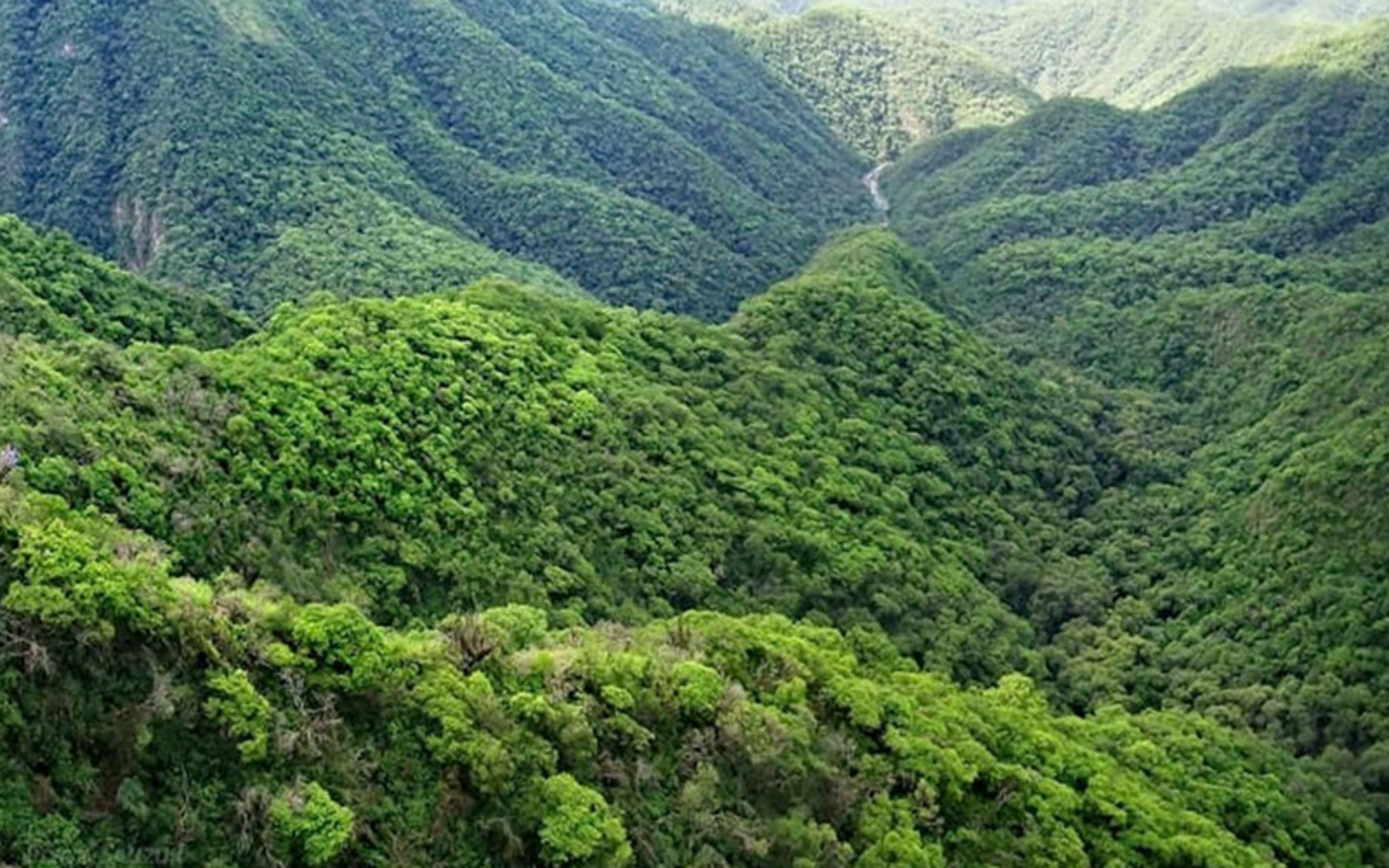 Yungas y sus paisajes